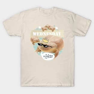 It is Wednesday my Dudes V2 T-Shirt